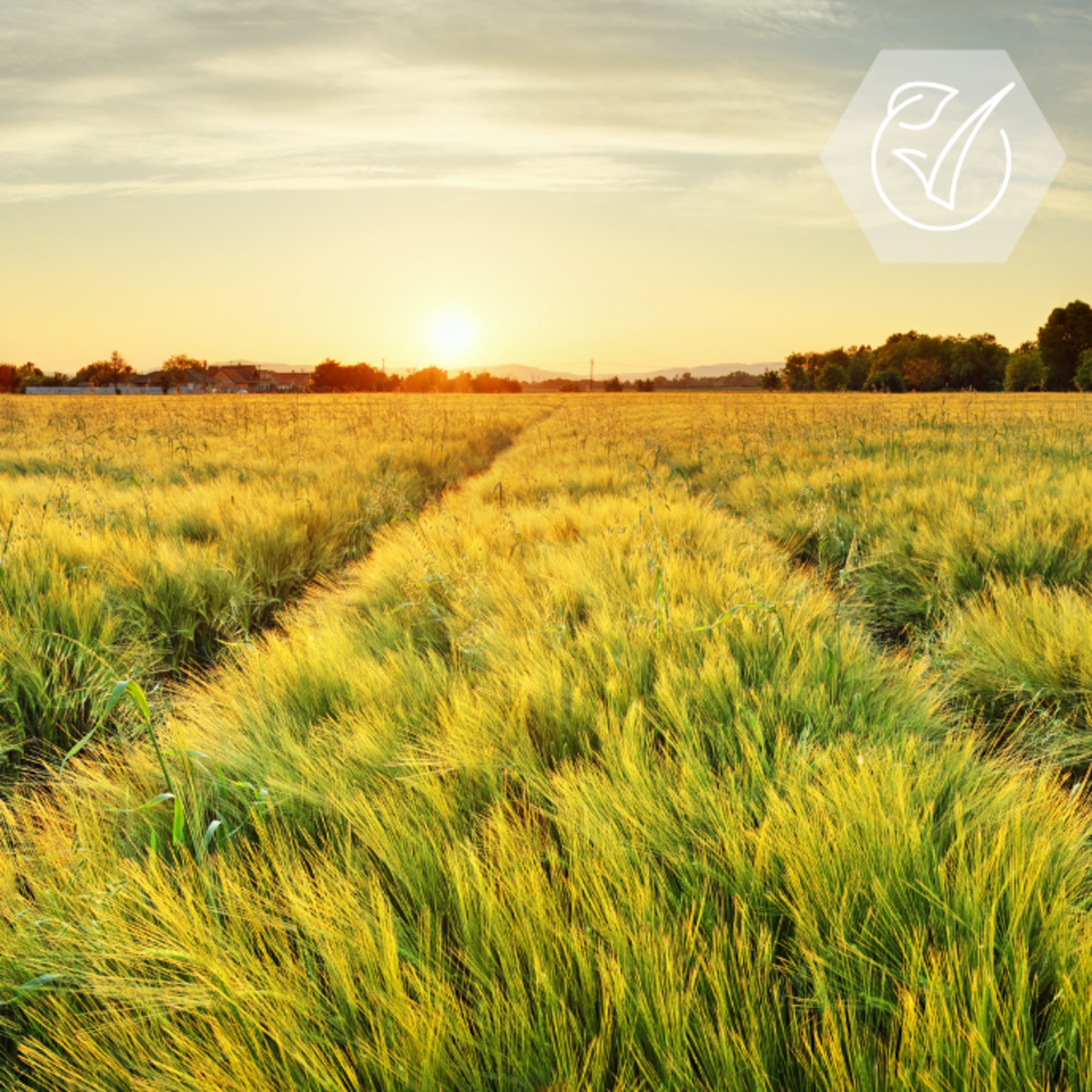 [Translate to English:] 